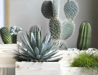 Αυτά είναι τα αντικείμενα που έχουμε σπίτι και φέρνουν γρουσουζιά